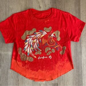 Vintage Upcycled and Painted Horses Arizona Tee